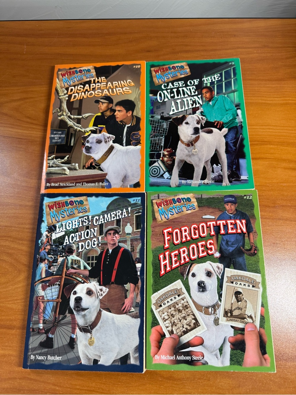 Bundle of 4 Wishbone Mystery Adventure Books Chapter Books Youth Dog Series